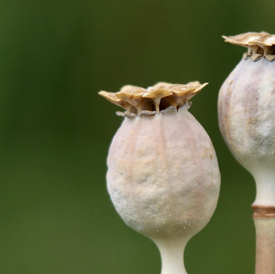 seed phrase backup notebook